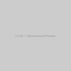 Image of LYVE-1 Recombinant Protein